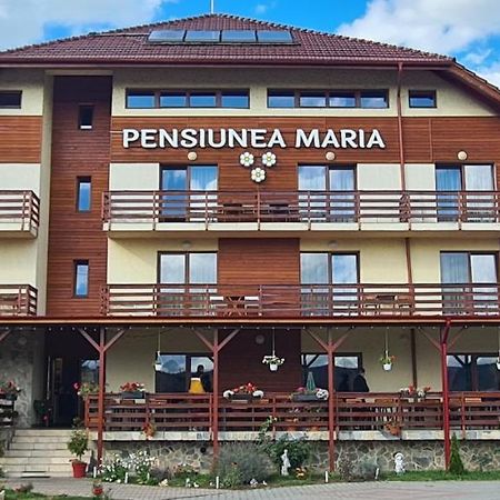 Pensiunea Maria Gilău المظهر الخارجي الصورة