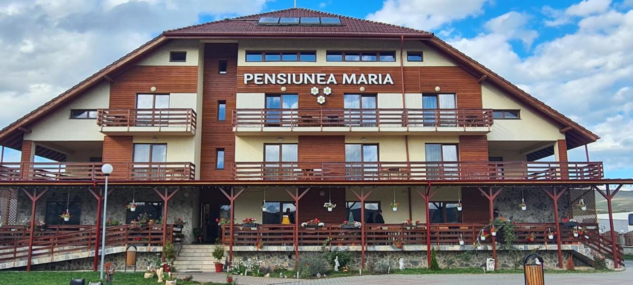 Pensiunea Maria Gilău المظهر الخارجي الصورة